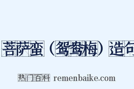 菩萨蛮（鸳鸯梅）造句是什么意思的图片